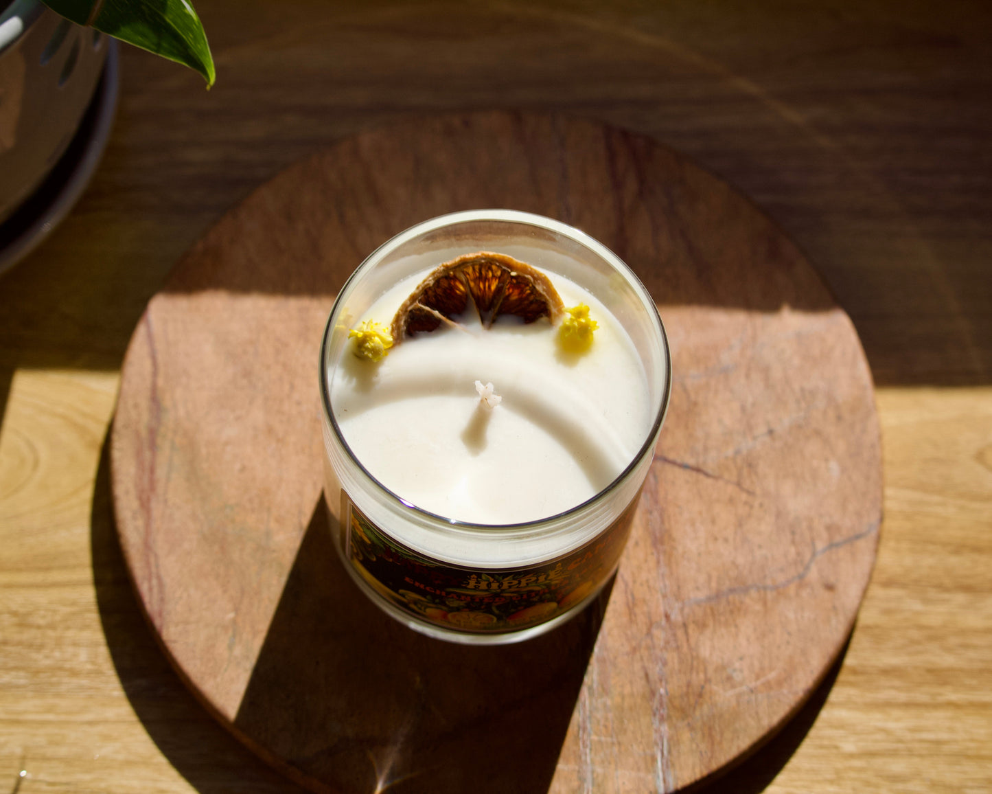 Enchanted Citrus Island